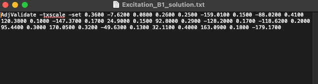 Excitation_B1_solution.txt containing a single AdjValidate -txscale -set command with a magnitude and phase pair per channel.
